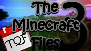 The Minecraft Files - 