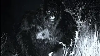WARNING!! IF YOU ARE GOING INTO THE NATIONAL PARK ALONE WATCH THIS!!