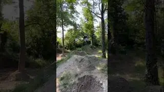BMX WOOD