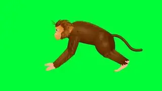 Monkey 🙊 बंदर Green Screen Background Video || Green Screen Background For Monkey