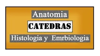 Cátedras de ANATOMÍA E HYE - FMED🧐🏥 | JohanF