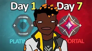 I INSTALOCKED Phoenix for 7 Days...