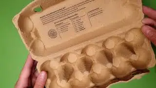 Schnelle Herbstdeko im Eierkarton selber machen / Easy DIY mit Naturmaterialien