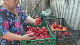 Я так хочу что бы лето не кончалось