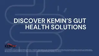 Discover Kemin’s gut health solutions