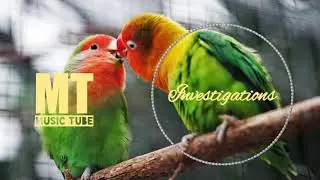 Investigations - Kevin MacLeod - No Copyright Music | MusicTube