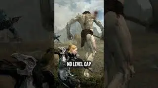 Skyrim's Best Follower