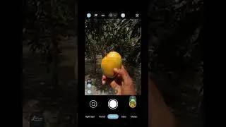 wow😳কি ক্যামেরা রে ভাই💥 #shorts #gcam #photohraphy #nature #mango #viralshorts