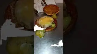 baby lab burger