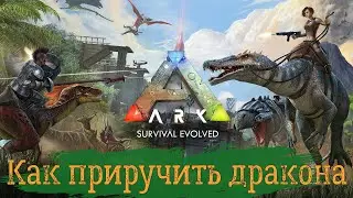 Как приручить дракона в ARK