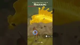 Molduking! (The Legend of Zelda: Breath of the Wild)