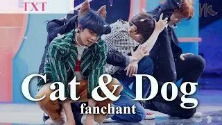 (Rom/Eng) TXT - 'Cat & Dog' Lyrics + FANCHANT
