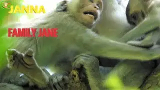 GREAT JOB JANE BEST DID TAKE BOTH DAUGHTER JANET & JANNA...JANET SCREAM CAN'T FEEDING MILK |
