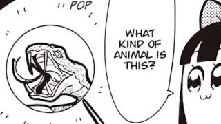 [Manga Dub] Pop Team Epic - Pop Quiz