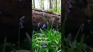 Доброе утро!