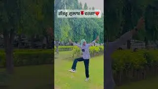 #bhangra #on #gabhru #gulab #varga #punjabisong ❤️🌸 #punjabiuniversty #aman