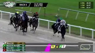 Tampa Bay Downs Carrera 5 - 29 de Diciembre 2024