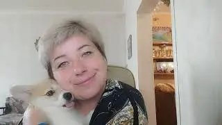 Откровенно с заводчиком корги. Вижу трансформации...