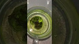 Просто введите в озон: «чайные бомбочки» Подпишись, пожалуйста 🥺💗