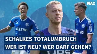 Schalkes Totalumbruch: Wer neu auf Schalke ist und wer den Club verlassen soll