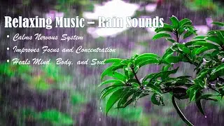 1 Hour Strong Rain Sounds | Calms Nervous System | Relaxing Music