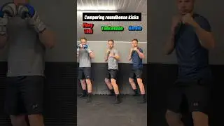 Which roundhouse kick do you prefer?