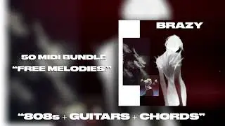 🔥 (+50)Trap & R&B MIDI Pack 2025 – Melody, 808, Hi-Hat, Guitar & Chords (Royalty-Free) - ''BRAZY''