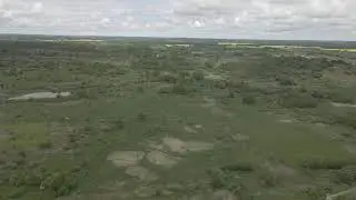 Земельные участки в посёлке Люблино (Калининградская область)