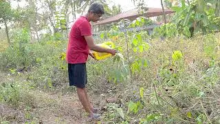 Nalini Niwas - Outside Garden Chores