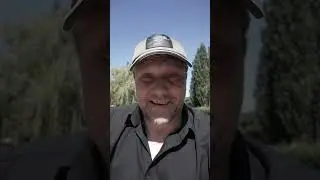 Объясните кто-нибудь!
