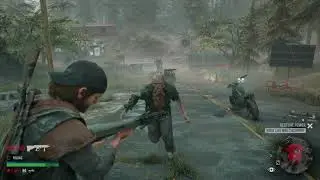 First horde take down - Horse lake nero checkpoint | Days gone