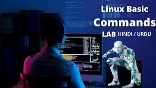 Linux Basic Commands | Linux Lab | Linux Tutorial in Hindi