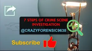 7 steps of crime scene investigation