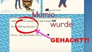 Momio wurde Gehackt?!