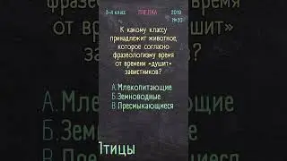 Человек и мир 3-4 класс 2019 №20