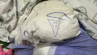 Abdl DAIper LiTtLe ToDdER 18+