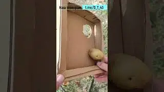 Почему я не знал этого раньше? Деревенская игрушка