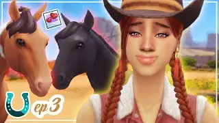 A NEW family member! (The Sims 4 Horse Ranch 🐴 Ep 3)