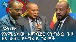 “ምን አልባትም የአንድ ሀገር አምባሳደር ለሶስት ቀናት በክልል ሲቆይ የመጀመሪያው ይመስላል” የፖለቲካ ተንታኝ #indepthanalysis @ArtsTvWorld