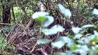 RunCam Scope Cam Lite 25mm ukázkové video / RunCam Scope Cam Lite 25mm example (sample) video
