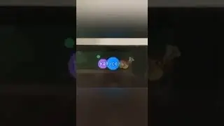 Переход логотипа с праздничного на обычный на канале Карусель (с первого на второе сентября) 2022
