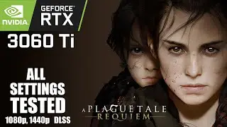 RTX 3060 Ti | DLSS | I5-12400 | A Plague Tale Requiem - 1080p - 1440p  All Settings Tested