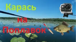 Ловля Карася на Поплавок 2017!!!!!!!!!!!!