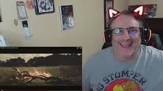 PATREON SPECIAL Meg Myers   Heart Heart Head Reaction
