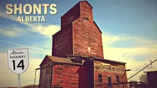 Grain Elevator | Shonts, Alberta (Tofield, Alberta)