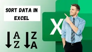 How to Sort Data in Excel  | Excel Tutorials