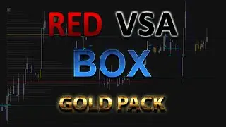 Индикатор RED VSA BOX