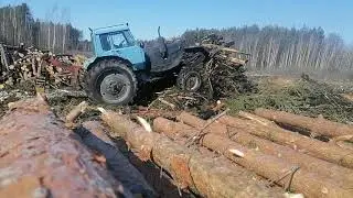 Мтз 82 с лопатой сталкивает порубочные остатки в вал