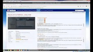 NetBeans 101 Plugins - Programming for the Web