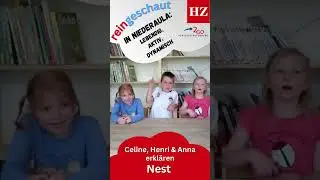 Reingeschaut in Niederaula - Nest
